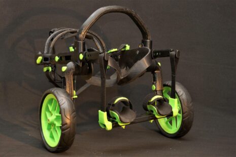 vozík z 3D tiskárny, vozík anyonego, vozík pro ochrnuté psy