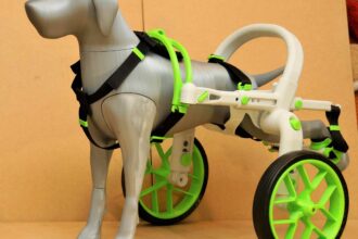 prototyp vozíku anyonego