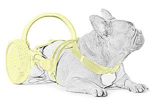 handicapped dog, wheelchair for dogs, trolley for dogs, cart for dogs, sketch of handicapped dog