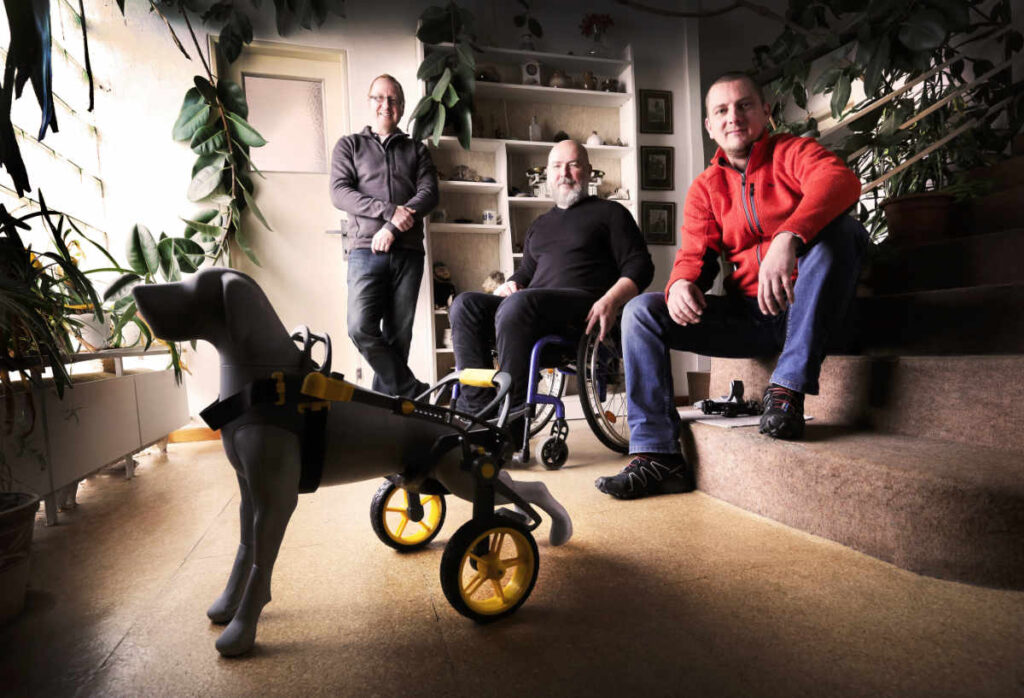 anyonego team, wheelchair for dogs