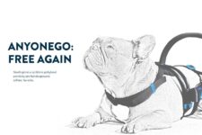 anyonego homepage