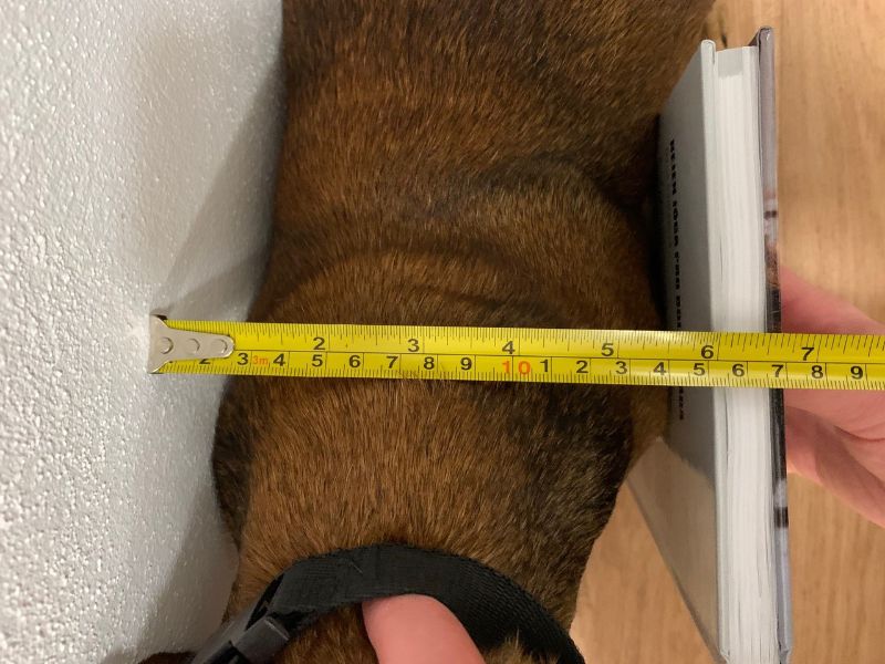 measuring for a dog wheelchair, correct measurement for the wheelchair