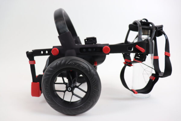 micro size dog wheelchair, dog in anyonego wheelchair
