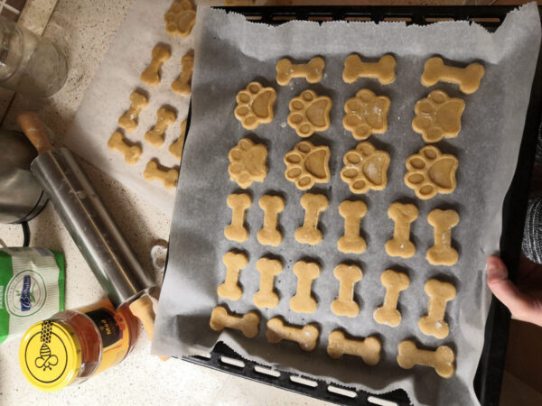 anyonego bone and paw ginger bread cookies