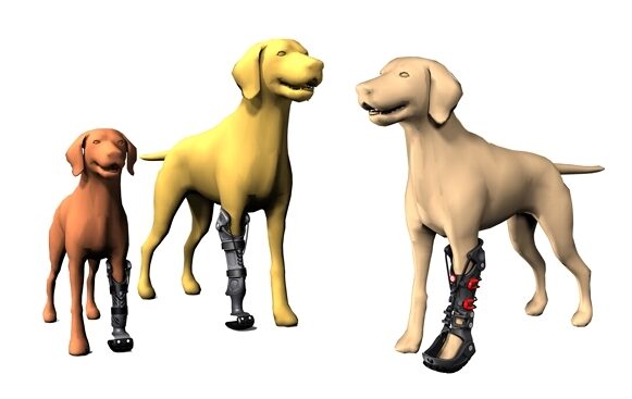 Ortézy a protézy pro zvířata